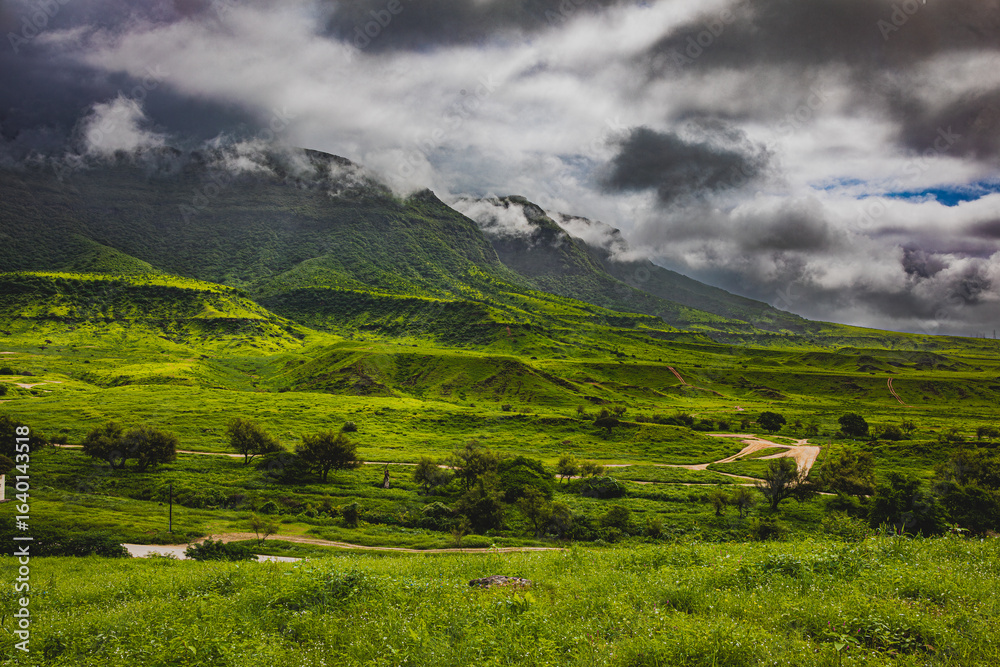 Fototapeta premium beautiful landscape of salalah oman during a khareef season.