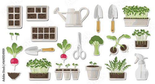 Gardening tools and seedlings arranged for planting vegetables indoors