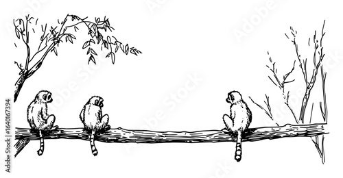 monkeys on tree branch – black and white jungle illustration