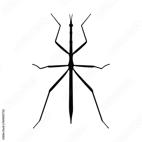 Insect silhouette vector. Black insect vector illustration of white background.