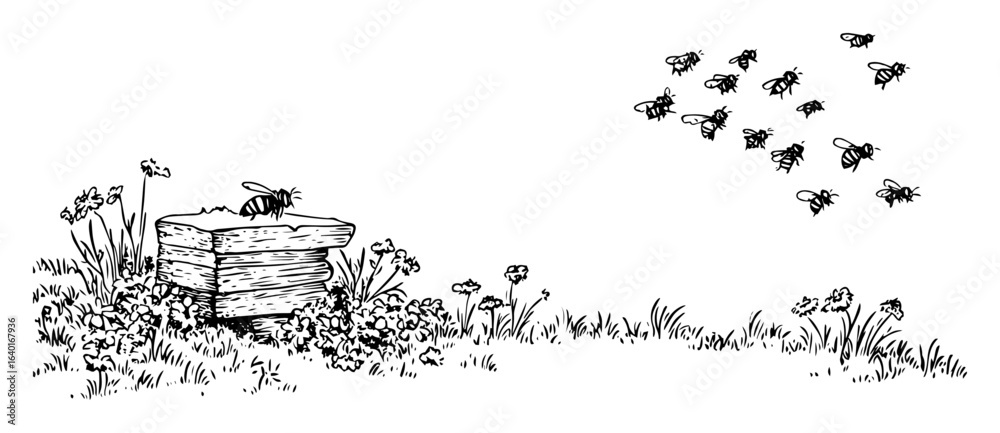 Vászonkép beehive and bees – outline nature pollination scene