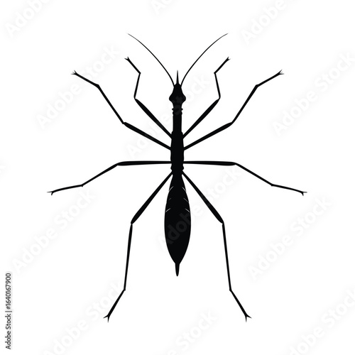 Insect silhouette vector. Black insect vector illustration of white background.