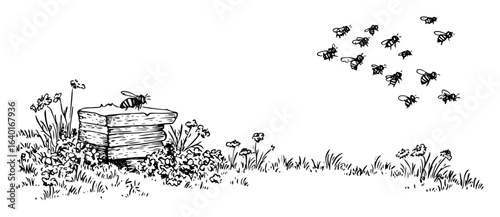 beehive and bees – outline nature pollination scene
