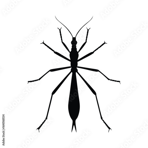 Insect silhouette vector. Black insect vector illustration of white background.