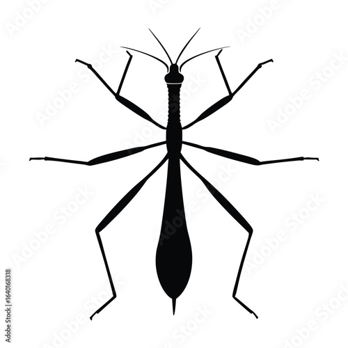 Insect silhouette vector. Black insect vector illustration of white background.