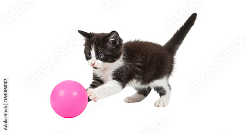 Playful Kitten and Pink Ball: A Charming Pet Photo