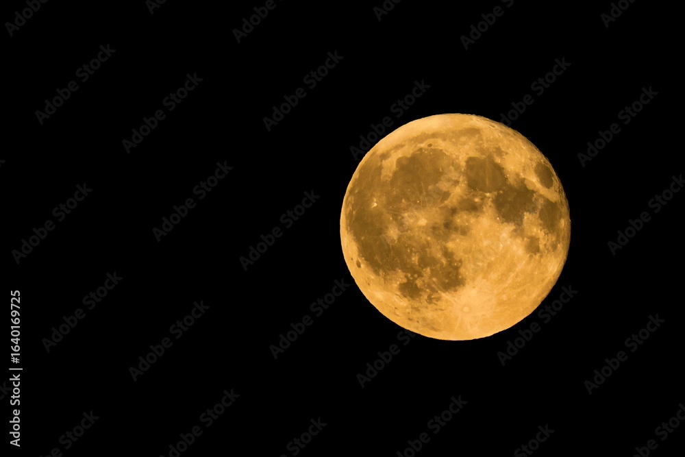 Obraz premium full moon in the night