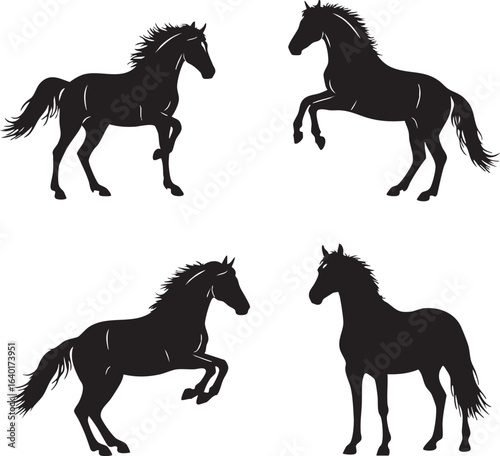 Four horse silhouettes in various poses silhouette