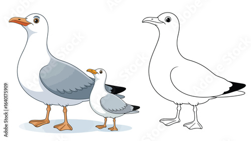 Two seagulls one colored one outline drawing