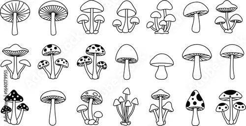 Mushroom line art set, hand-drawn mushrooms, forest fungi illustration, black and white mushroom clipart, botanical mushroom drawings, nature vector art