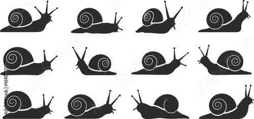 Black silhouette snails with spiral shells vector set, crawling snail icons, mollusk clipart for biology, nature, wildlife, and graphic design
