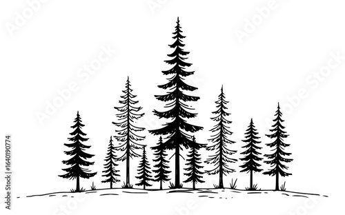 conifer pine forest silhouettes ink sketch vector illustration