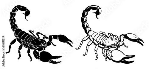 scorpion pair aggressive pose vector illustration