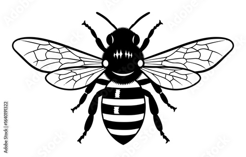 honey bee insect top view detailed vector illustration