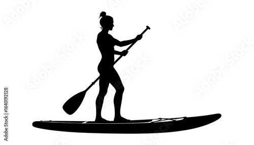 Silhouette paddleboarder