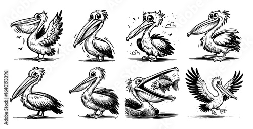 pelican bird cartoon character set sketch illustration