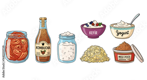 Collection of fermented foods in cartoon illustration style on white background