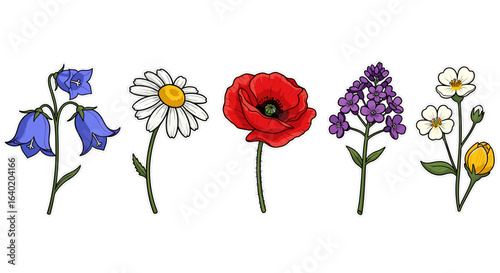Assorted Wildflower Sticker Sheet with Bold Outlines, Isolated on White
