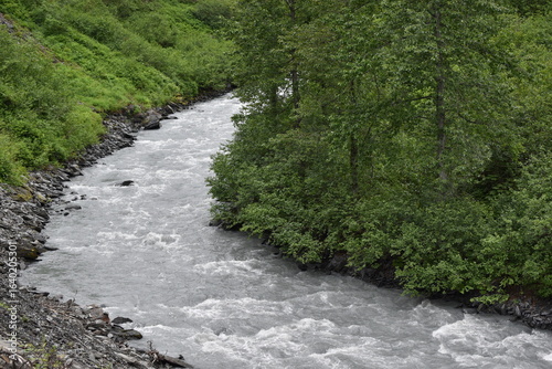 river in the woods