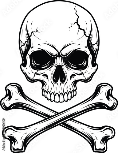 Vector art of skull and crossbones symbol isolated on white background