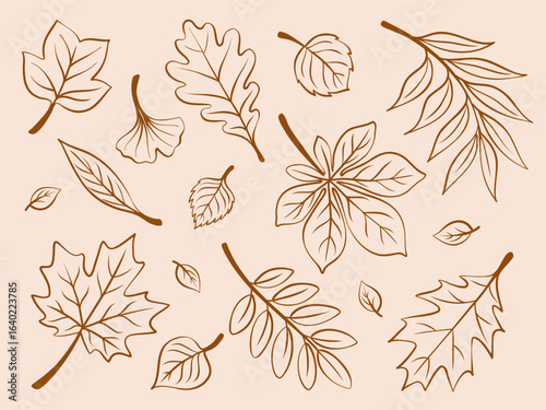 Autumn leaves line art big set. Outline brown color foliage. Vector isolated outline illustration on beige background