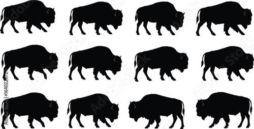 A collection of 12 detailed, black silhouette bison illustrations in various walking and standing poses, perfect for nature, wildlife, or outdoor adventure designs.