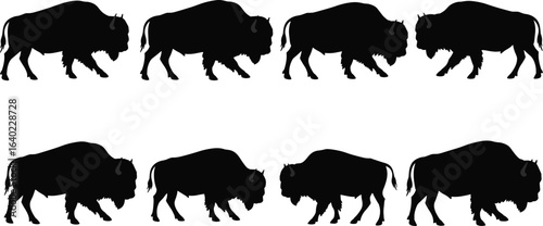 A collection of 12 detailed, black silhouette bison illustrations in various walking and standing poses, perfect for nature, wildlife, or outdoor adventure designs.