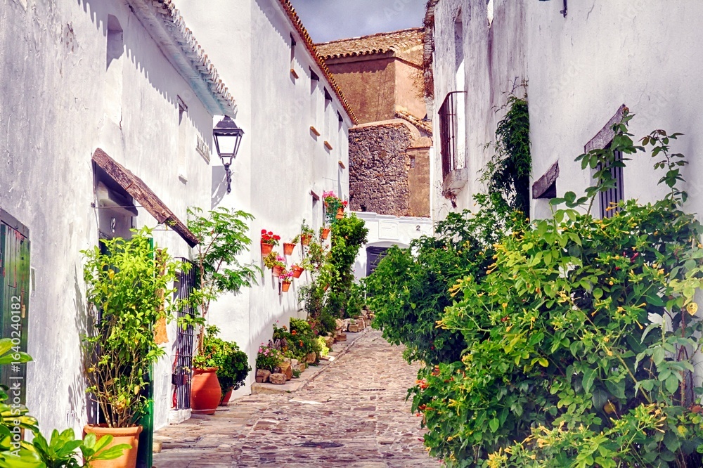 Naklejka premium Wonderful streets of Castellar de la Frontera, an ancient town in the province of Cadiz, Spain. 
