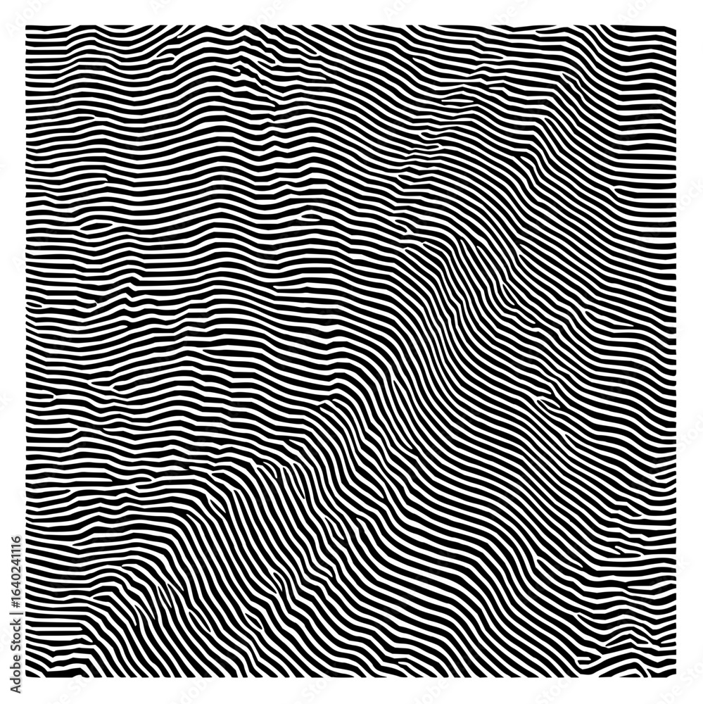 Obraz premium Abstract black and white pattern featuring wavy lines and optical illusion design elements forming texture