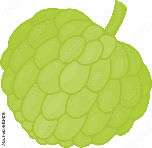 Fresh Cherimoya Fruit: Vibrant Green, Cartoon Style Illustration, Healthy Eating Concept