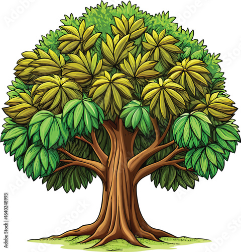 Lush Green Tree with Large Palmate Leaves and Thick Trunk vector illustration