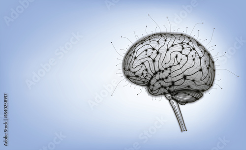 A modern technological illustration of the human brain using curves and straight lines arranged on a blue background. Used in medicine, science, advertising, commercial, and industrial applications.