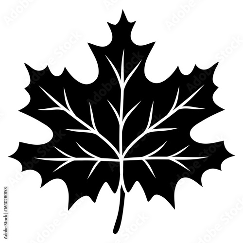 maple leaf solid icon vector