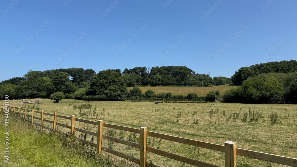 Cleeve Abbey Surrounding Fields with Copse of Trees 04 2025 Cleeve Abbey Surrounding Fields with Copse of Trees 04 2025