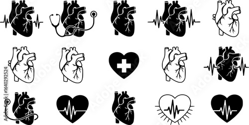Anatomical heart vector silhouette icon set. heartbeat, cardiovascular, anatomy, medical, health, cardiology illustration, biology, organ, human heart collection