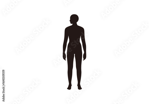 人体　横向き