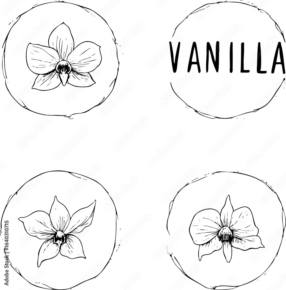 Fototapeta premium Hand-Drawn Vanilla Floral Labels with Elegant Frames