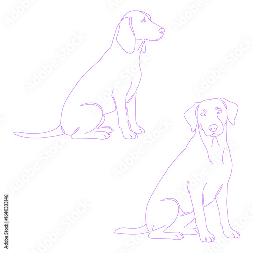 sitting dog minimal lineart illustration