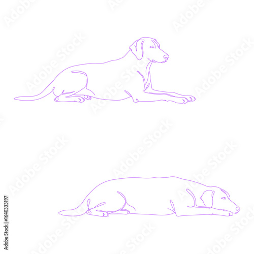 dog lying down pose minimal lineart illustration