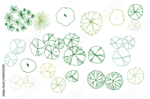 Vector tree top view isolated on white background for landscape plan and architecture layout drawing, elements for environment and garden