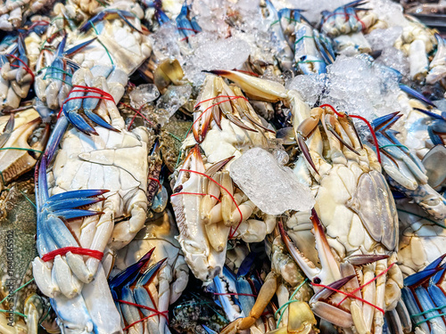 Blue Swimming Crabs (Portunus pelagicus) at Market in Singapore