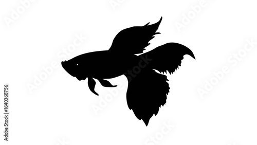 Silhouette of a betta fish with flowing fins and tail swimming gracefully in a simple black and white design