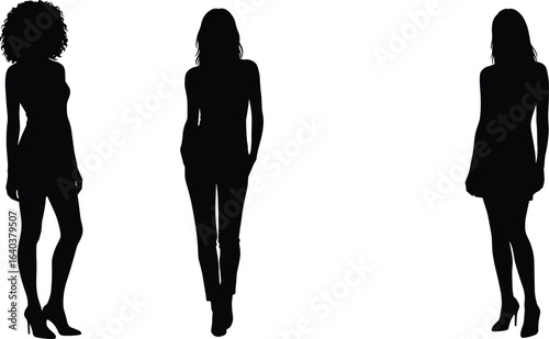 Silhouettes of three fashionable women, posing in different outfits, high heels, stylish models, female form, fashion concept illustration