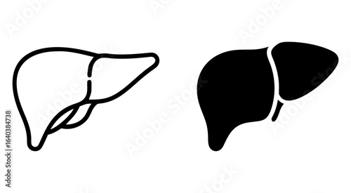 Set of human organs outline silhouette vector illustration design