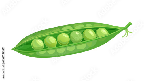 Fresh green peas in pod vector illustration healthy food vegetable garden harvest organic farm product isolated