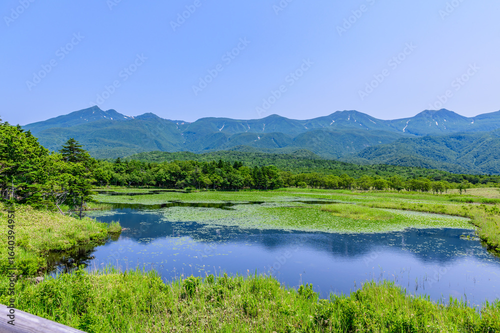 Fototapeta premium 北海道知床半島の知床五湖を歩く初夏の風景。6月、澄み渡る青空の下、豊かな原生林と湖面に映る空と山々が美しい絶景。
