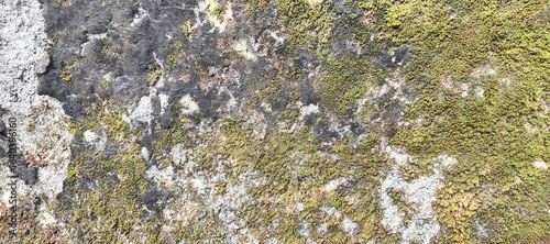 stone wall background