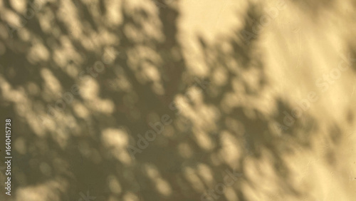 Abstract Leaves Nature Blurred Shadows on a Wall Creating Soft Artistic Pattern and Minimalist Background for Modern Interior Design and Creative Visual Concepts