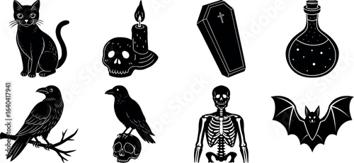 Set of Halloween silhouettes perfect for vector designs Vector illustration. Collection of Halloween vector elements