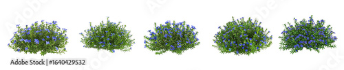 Five Blue Flower Bushes,  Isolated on Black Background,  Detailed Digital Render
